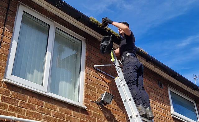 Gutter cleaning service